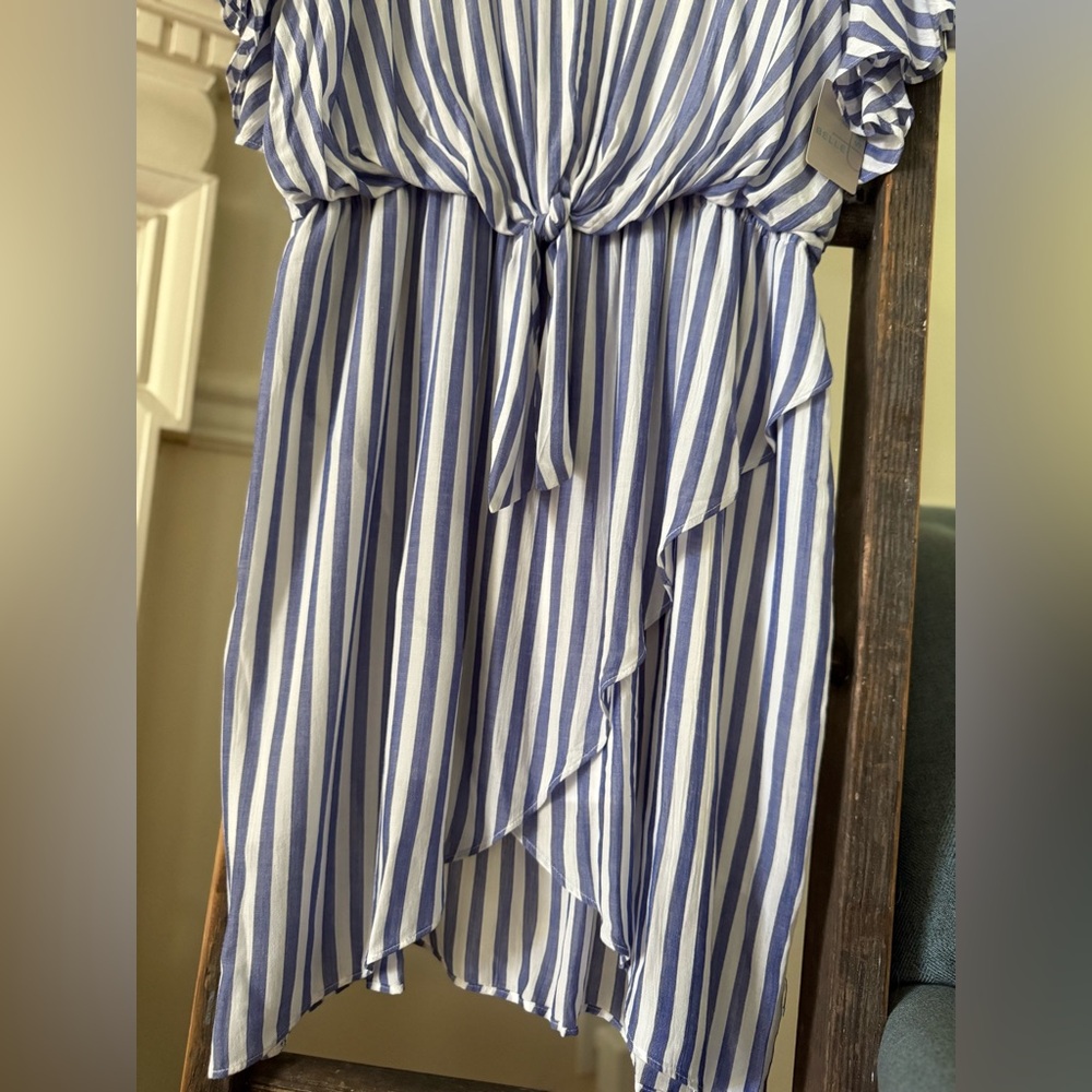 Belle Sky (JC Penny) Striped Dress - Picture 4 of 11